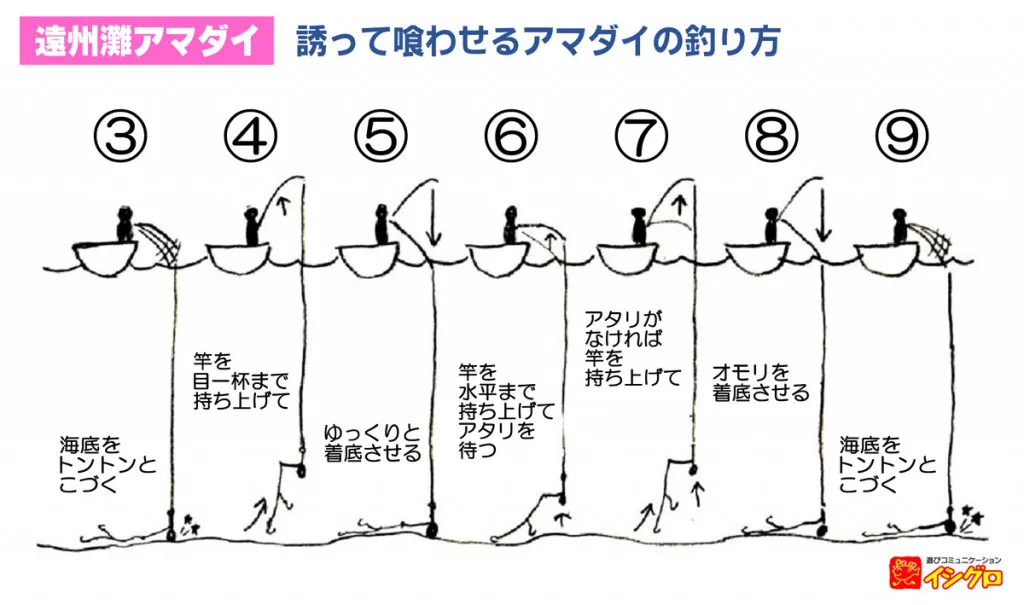 遠州灘 アマダイ釣り＜深掘り＞｜釣具のイシグロ |釣り情報サイト